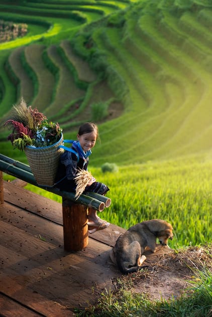 Ảnh phong cảnh và đời sống Việt Nam